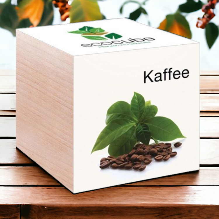 EcoCube Kaffee