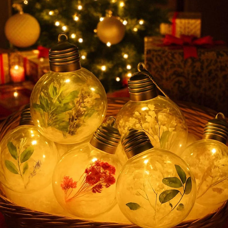 LED-Weihnachtskugel - Trockenblumen Geldgeschenk