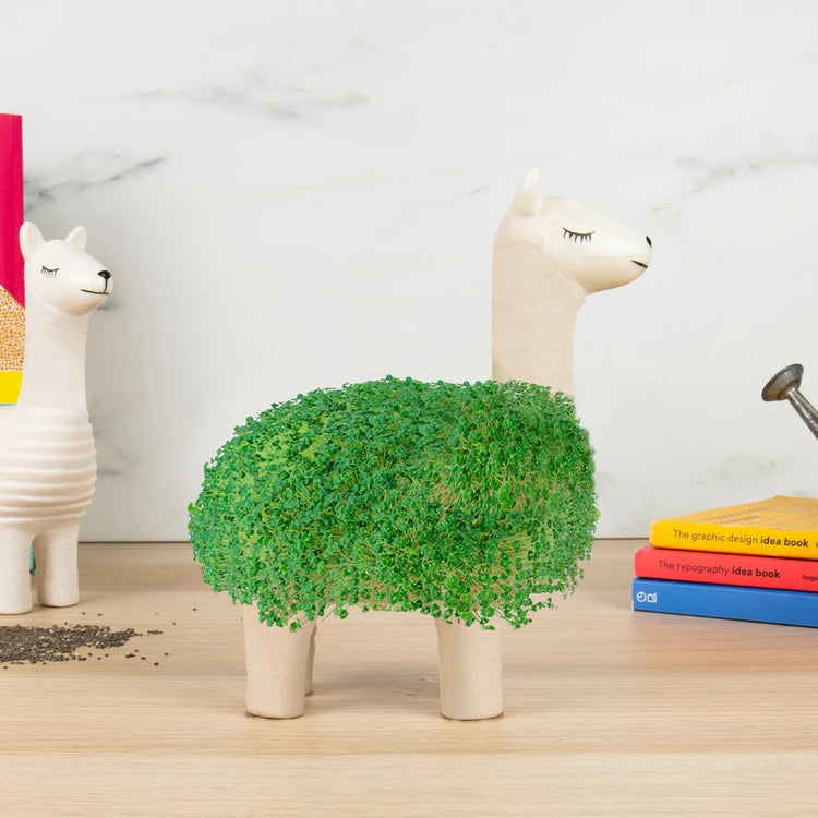 Green Lama - Pflanztier