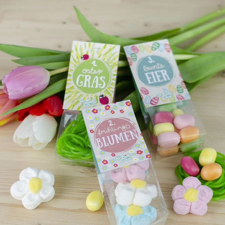 Osternest Bastel Kit Box Geschenkset Ostern