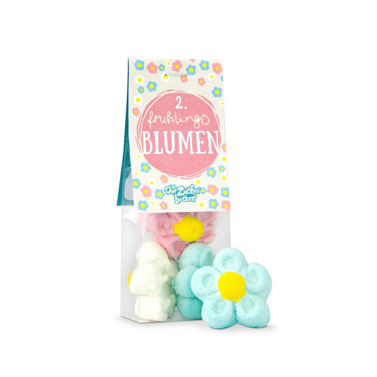 Osternest Bastel Kit Box Geschenkset Ostern