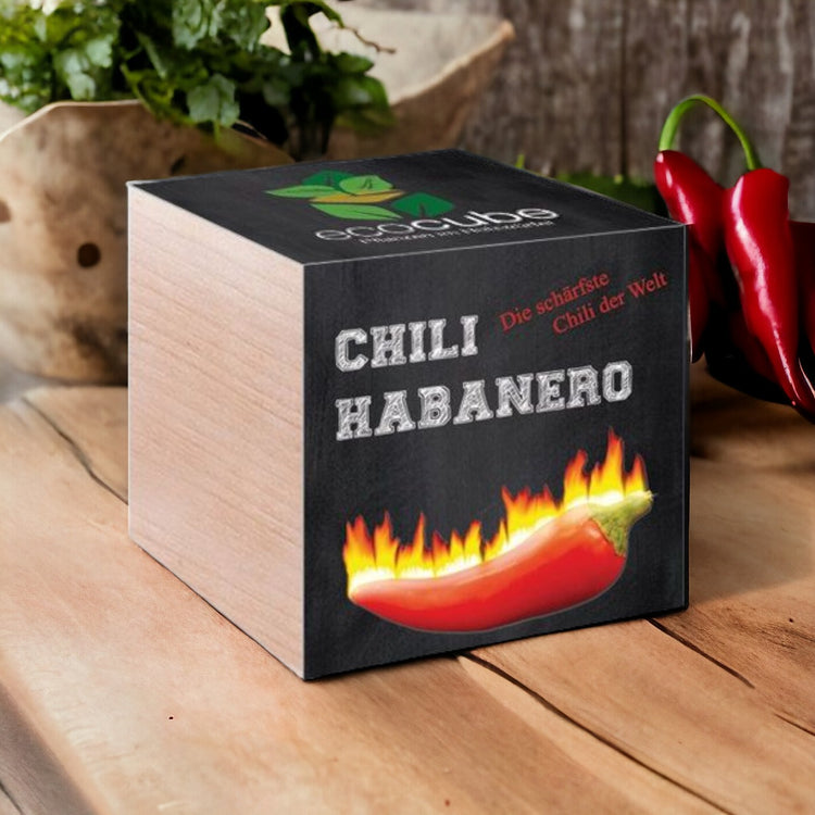 EcoCube Chili Habanero Classic