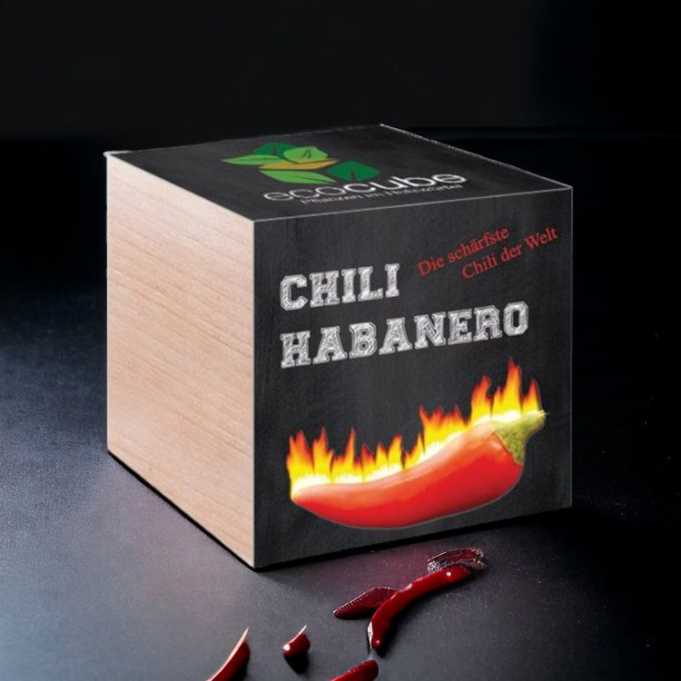 EcoCube Chili Habanero Classic