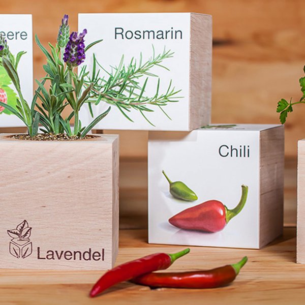 EcoCube Chili