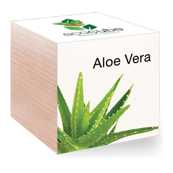 EcoCube Aloe Vera