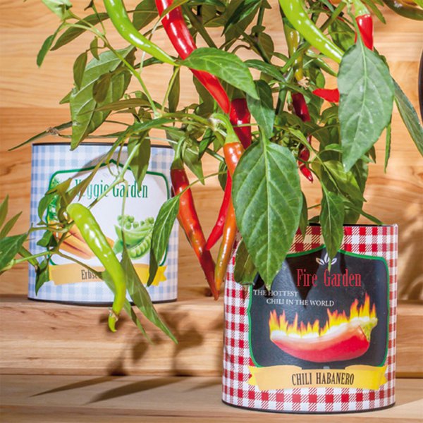 CityGarden Chili Habanero