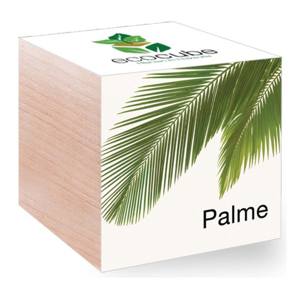 EcoCube Palme