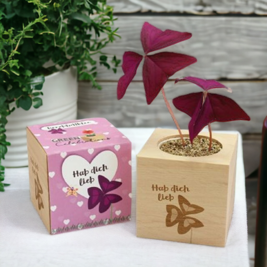 Geschenke zum 70. Geburtstag