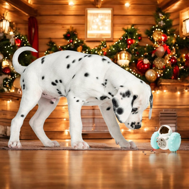 Pet Care Leckerlie Roboter Spielzeug für Hunde