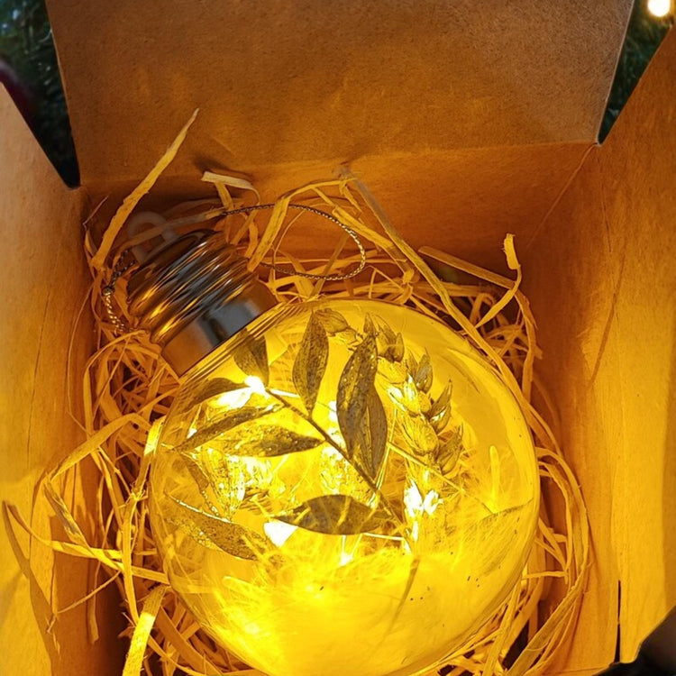 LED-Weihnachtskugel - Trockenblumen Geldgeschenk