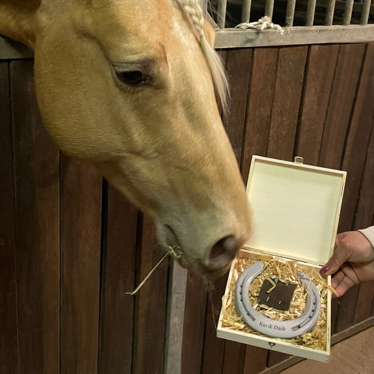 Hufeisen-Box Zur Goldenen Hochzeit (goldenes Herz)