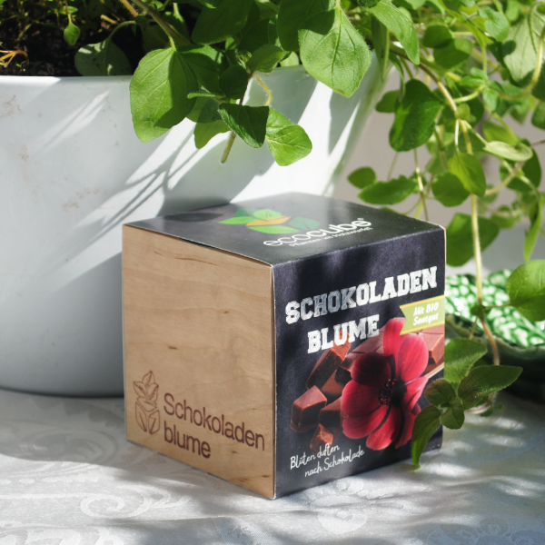 EcoCube Schokoladenblume Classic