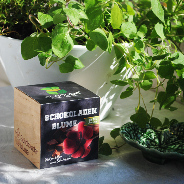 EcoCube Schokoladenblume Classic