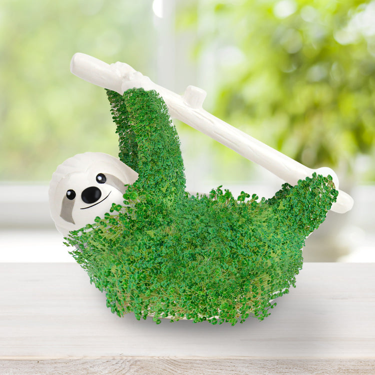 Chia Faultier